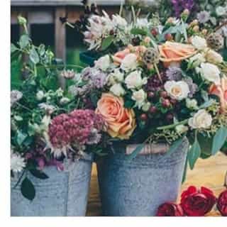 Flowers in Pail