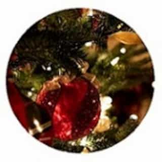 Holiday Ornament