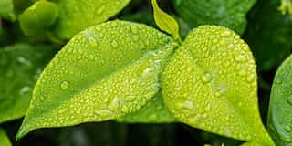 Ways to Reduce your Carbon Footprint: Office Buildings