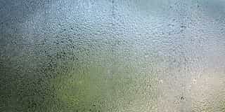 Keep Cool with Dehumidifiers