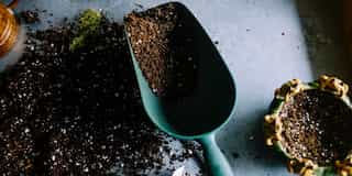 Gardening Tips and Life Hacks
