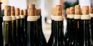 Best Places for Your Freestanding Wine Cooler