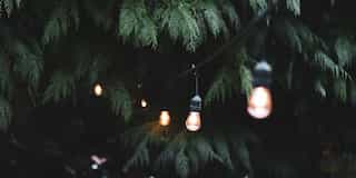 Best Lights to Use in Your Garden