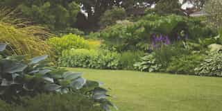 Landscape Lighting Tips: Do's and Don'ts