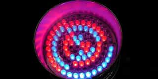 LED Light Engine vs. LED Light Module