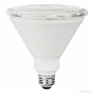 17W 5000K Spotlight LED PAR38 Bulb