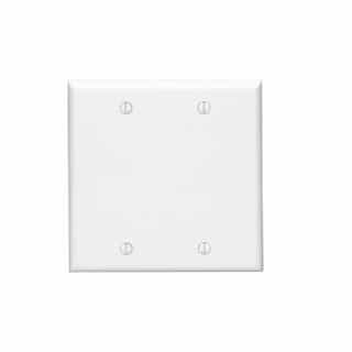 2-Gang Blank Wall Plate, White