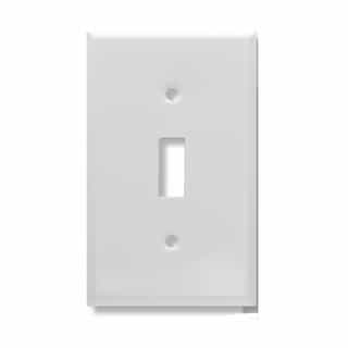 Aida 1-Gang Medium Single Outlet Wall Plate, Stainless Steel