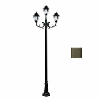 9W LED 10-ft Post Top Fixture, Three-Head, A19, Bronze/Frosted