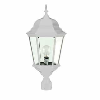Dabmar 30W Hexagonal Decorative LED Post Top Light w/Frosed Glass, White