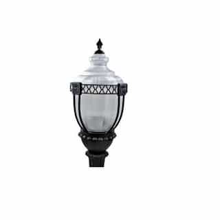 Dabmar 120W Clear Acorn LED Post Top Fixture, Black