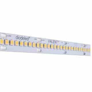 Diode LED 100-ft 1.72W/ft Valent High Density Tape Light, 24V, 2400K