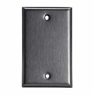 Over-Size Stainless Steel 1-Gang Blank Metal Wall Plate