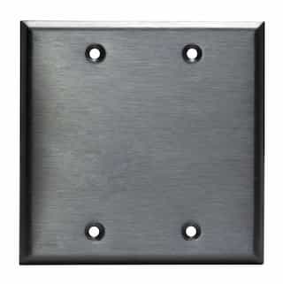 Stainless Steel 2-Gang Blank Metal Wall Mounted Plate