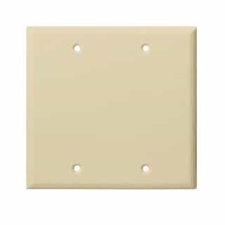 2-Gang Oversized Blank Wall Plate, Thermoplastic, Ivory