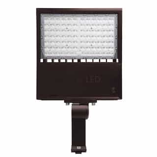 150W LED Area Light w/Straight Arm, 21750 lm, 120V-277V, 5000K, Bronze