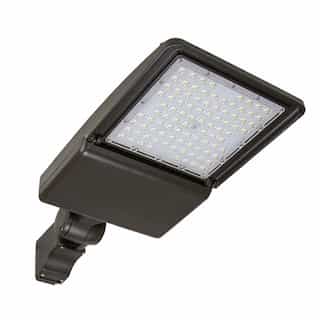 75W LED Area Light, T5, 5-in Fixed Direct Mount, 277V-480V, 4000K, GRY