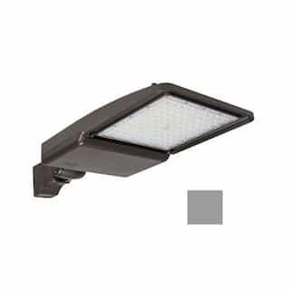 ESL Vision 200W LED Shoebox Light w/ Yoke Mount, 0-10V Dim, 247-480V, 29518 lm, 3000K, Grey