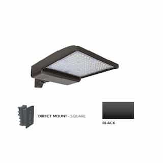 ESL Vision 250W LED Shoebox Area Light w/ Direct Arm Mount, 0-10V Dim, 480V, 38043 lm, 3000K, Black