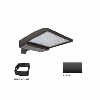 ESL Vision 250W LED Shoebox Area Light w/ Yoke Mount, 0-10V Dim, 480V, 38043 lm, 3000K, Black