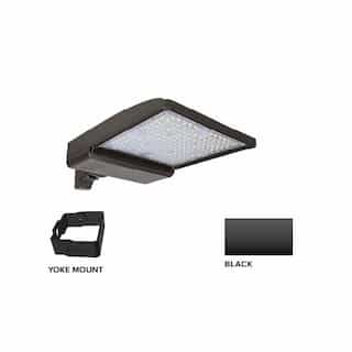 ESL Vision 250W LED Shoebox Area Light w/ Yoke Mount, 0-10V Dim, 480V, 40093 lm, 4000K, Black