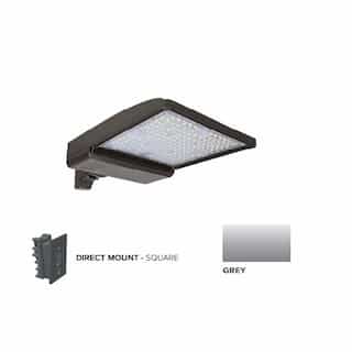 ESL Vision 250W LED Shoebox Area Light w/ Direct Arm Mount, 0-10V Dim, 480V, 40093 lm, 4000K, Grey