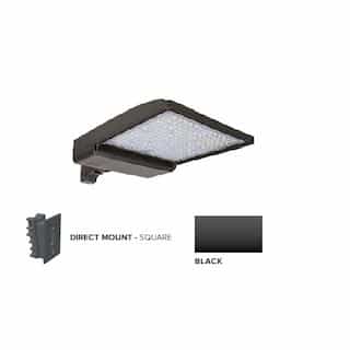 320W LED Shoebox Area Light w/ Direct Arm Mount, 480V, 0-10V Dim, 43894 lm, 3000K, Black