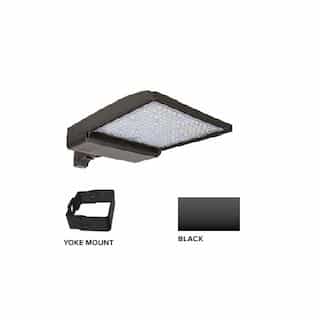 320W LED Shoebox Area Light w/ Yoke Mount, 480V, 0-10V Dim, 43894 lm, 3000K, Black