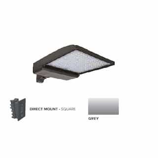 320W LED Shoebox Area Light w/ Direct Arm Mount, 480V, 0-10V Dim, 43894 lm, 3000K, Grey
