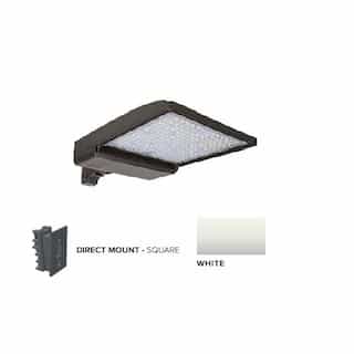 320W LED Shoebox Area Light w/ Direct Arm Mount, 480V, 0-10V Dim, 43894 lm, 3000K, White