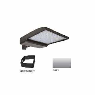 320W LED Shoebox Area Light w/ Yoke Mount, 480V, 0-10V Dim, 46260 lm, 4000K, Grey