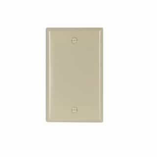 1-Gang Blank Wall Plate, Thermoset, Ivory