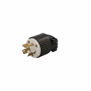 250V Locking Device Plug, Commercial Grade, 2P3W