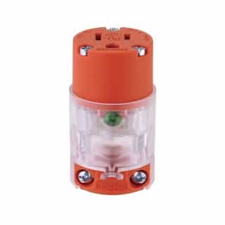 15 Amp LED Straight Blade Connector, #18-12 AWG, 5-15R, 125V, Orange