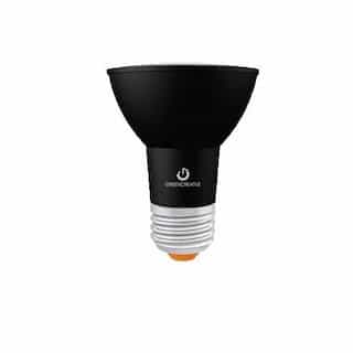 6.5W LED PAR20 Bulb, Dimmable, 40 Degree Beam, E26, 580 lm, 120V, 3000K, Black