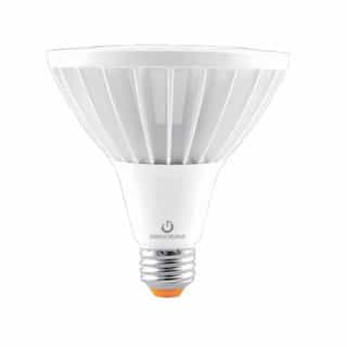 25W LED PAR38 Bulb, 40 Degree Beam, E26, 2500 lm, 120V-277V, 3000K