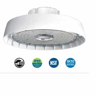 ILP Lighting 236W LED Round High Bay, Damp Location BB, 120-277V, 5000K, Frosted