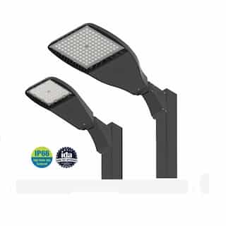 ILP Lighting 167W LED Flood Light w/Slipfitter, Wide Forward, 347V-480V, 5000K, BLK