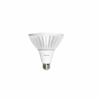 23W LED PAR38 Bulb, Flood, 250W Hal Retrofit, Dim, E26, 2650 lm, 3000K