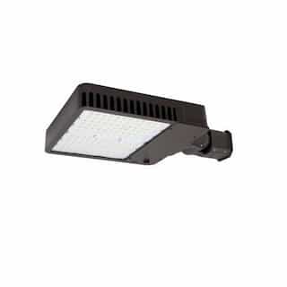 310W LED Slim Area Light w/ Knuckle, T3, 120V-277V, CCT Selectable