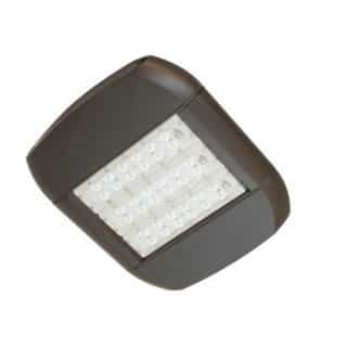 MaxLite 80W LED Shoebox Area Light, Type V, 0-10V Dim, 250W MH Retrofit, 8678 lm, 3000K