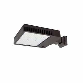 310W LED Slim Area Light w/ Wall Mount, T4, 277V-480V, CCT Selectable