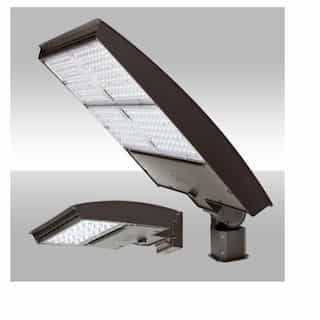 320W LED Area Light w/Trunnion, Type 4N, 120V-277V, Selectable CCT, BZ