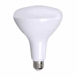 17W 3000K Dimmable, Flood Lamp, BR40