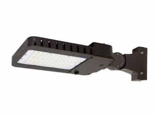 100W LED Slim Area Light w/Flexible Arm, T3, 277V-480V, Selectable