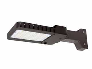 100W LED Slim Area Light w/Straight Arm, T4, 277V-480V, Selectable