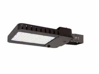 100W LED Slim Area Light w/Trunion Arm, T4, 277V-480V, Selectable
