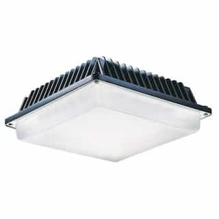 5290 Lumens, 55W LED Canopy Light, 277V, Dimmable, Bronze