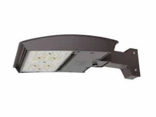 100W LED M Area Lights, T4N, C-Max, Straight Arm, 277-480V, Selectable