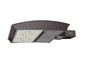 MaxLite 100W LED Flood Light, Wide, Trunnion, 277V-480V, CCT Select